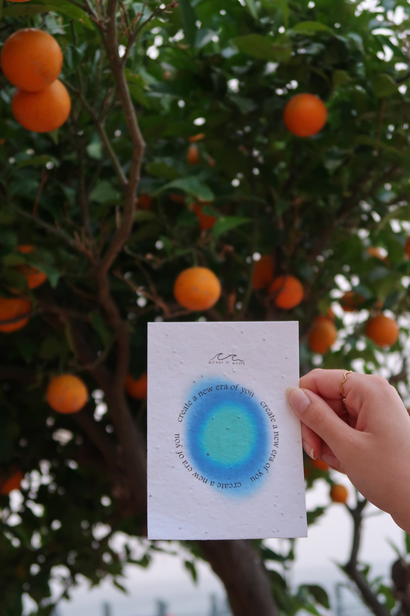 Flower Card - Ocean Aura